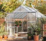 Eden Viscount Silver 8x12 Greenhouse - Horticultural Glazing