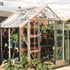 Elite Belmont 8x6 Greenhouse with Double Doors