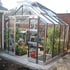 Elite Belmont 8x8 Greenhouse with Bar Capping