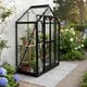 Elite 4x2 Apex Lean To Greenhouse