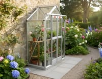 Elite 4x2 Apex Lean To Greenhouse - Toughened Glazing