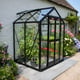 Elite 4x4 Apex Lean To Greenhouse