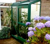 Elite Easygrow 2x4 Lean to Greenhouse - Horticultural Glazing