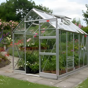 Elite High Eave 6x10 Greenhouse