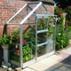 Elite High Eave 6x2 Lean To Greenhouse