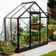 Elite High Eave 6x4 Lean To Greenhouse Black