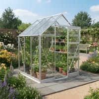 Elite High Eave 6x6 Greenhouse - Toughened Glazing