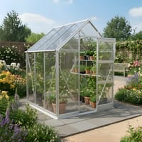 Elite High Eave 6x6 Greenhouse - 6mm Polycarbonate Glazing