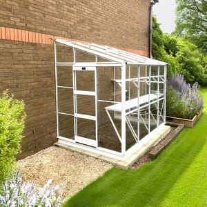 Elite Kensington 6x8 lean-to greenhouse ideal for growing grape vines