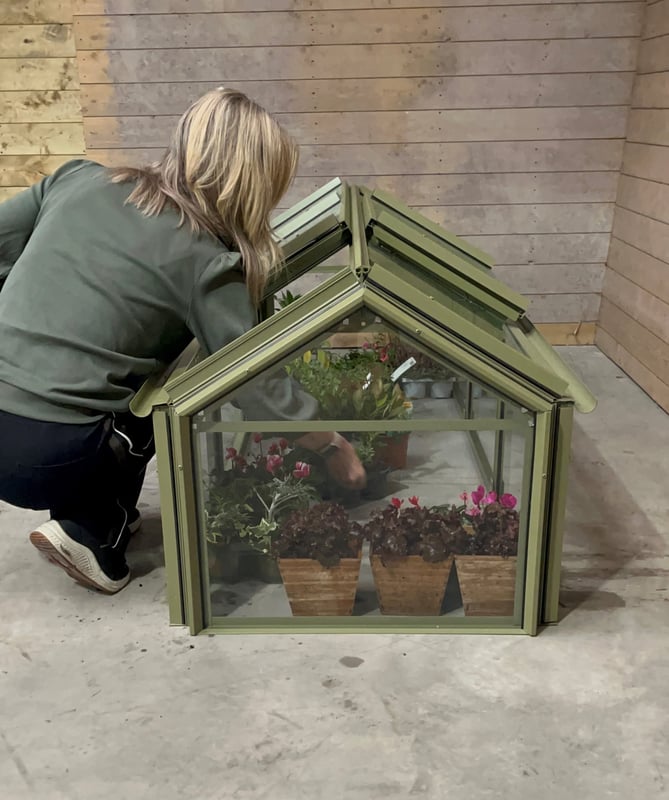 Elite Min E Lite 6x2 aluminium cold frame for winter salads and hardy crops