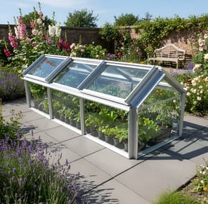 Elite Min E Lite 8x2 Cold Frame