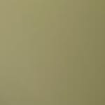 Elite Olive Powder Coating