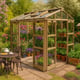 Elite Sanctuary 6 6x8 Greenhouse in Stone Colour