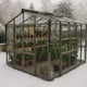 Elite Sanctuary 8 8x10 Greenhouse in Graphite Colour Extra Doors