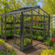 Elite Sanctuary High Eave Greenhouse