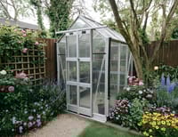 Elite Streamline 5x6 Greenhouse - 6mm Polycarbonate Glazing