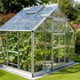 Elite Supreme 10x6 Greenhouse - Horticultural Glazing