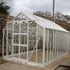 Elite Thyme 14x8 Greenhouse in White