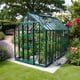 Elite Thyme 6x10 Greenhouse