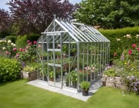 Elite Thyme 6x10 Greenhouse - Toughened Glazing