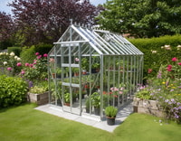 Elite Thyme 6x10 Greenhouse - Toughened Glazing