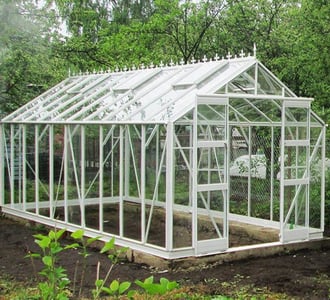 Elite Thyme Greenhouse in 8ft wide