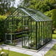 Elite Thyme 8x10 Olive Greenhouse