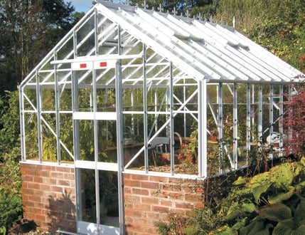 Elite Thyme Dwarf Wall 8ft Wide Greenhouse