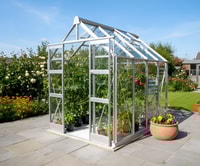 Elite Titan 6x8 Greenhouse - Polycarbonate Glazing