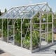 Elite Titan 8x8 Greenhouse