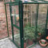 Elite Windsor 4x4 Lean to Greenhouse Horticultural Glazing
