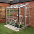 Elite Windsor 4x6 Lean to Greenhouse with Toughened Glazing