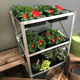 Elite 3 Tier 6 Seed Tray Frame