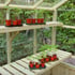 Swallow wooden greenhouse Staging, HLS with plants