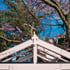Shire Holkham 6x4 Wooden Greenhouse Roof Finial