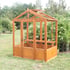 Shire Holkham 6x4 Wooden Greenhouse