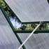 6x10 Green Ashby Polycarbonate Greenhouse
