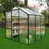 6x6 Green Ashby Polycarbonate Greenhouse