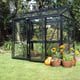 Janssens Helios Urban 5x8 Greenhouse in Black