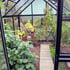 Janssens 8x10 Eos Junior Greenhouse Black Interior