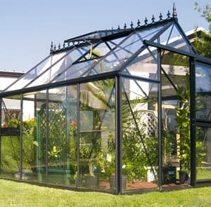 8x10 Janssens Eos Junior in Black