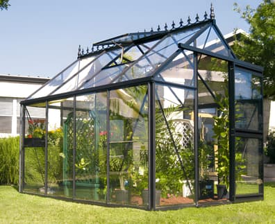 8x10 Janssens Eos Junior in Green