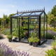 Janssens Helios Urban 5x8 Greenhouse in Black