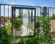 Urban Greenhousess