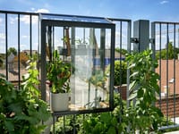 Juliana Balcony Greenhouse