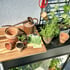 Juliana Vertical Greenhouse Potting