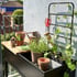 Juliana Vertical Greenhouse Rack