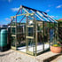 Olive Elite Titan 6x8 Greenhouse Toughened Glazing