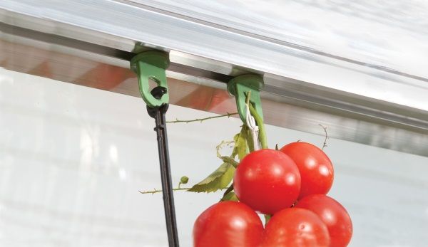Palram Plant Hangers pack of 10 plastic plant hangers designed to clip onto the glazing bars of a UK Palram Canopia greenhouse and suspend hanging baskets, plant pots or trailing strawberries in the apex zone