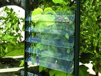 Vitavia 5 Blade Louvre Window (Green)